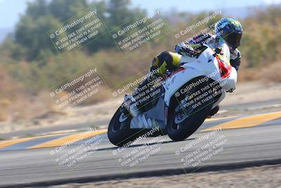 media/Feb-05-2023-SoCal Trackdays (Sun) [[b2340e6653]]/Turn 7 (940am)/